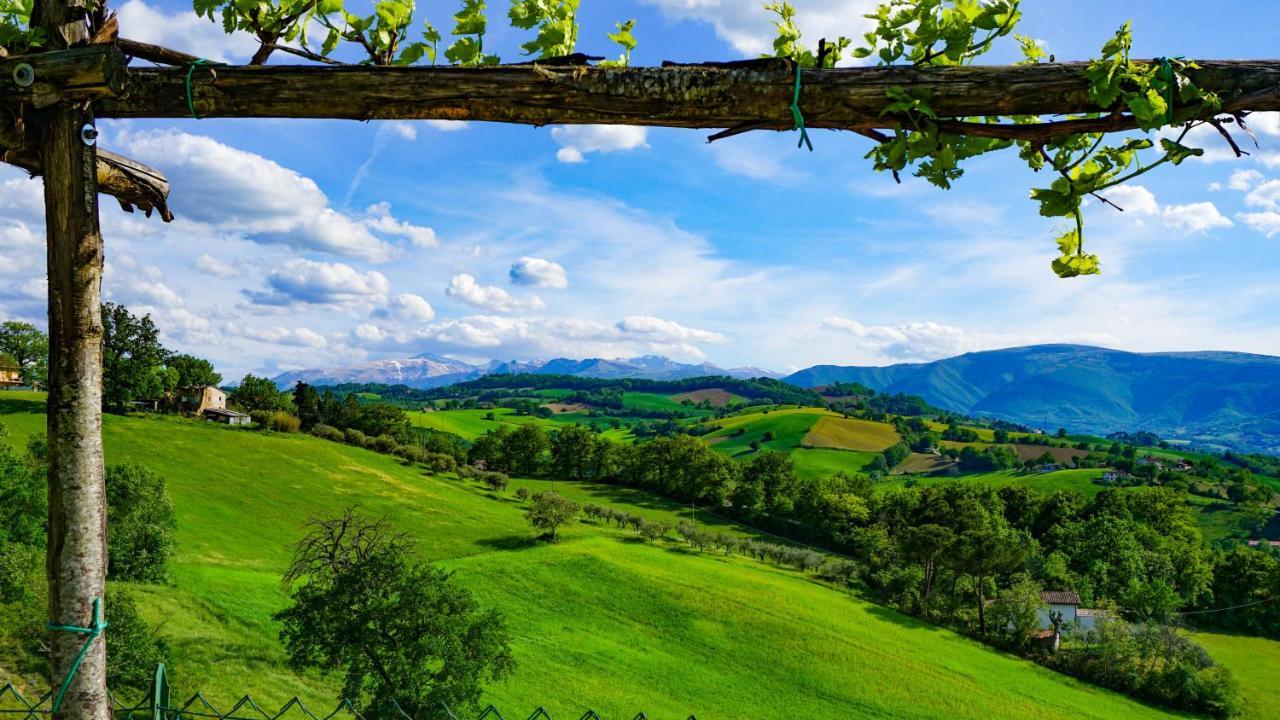 Agriturismo Pascucci Толентино Екстериор снимка