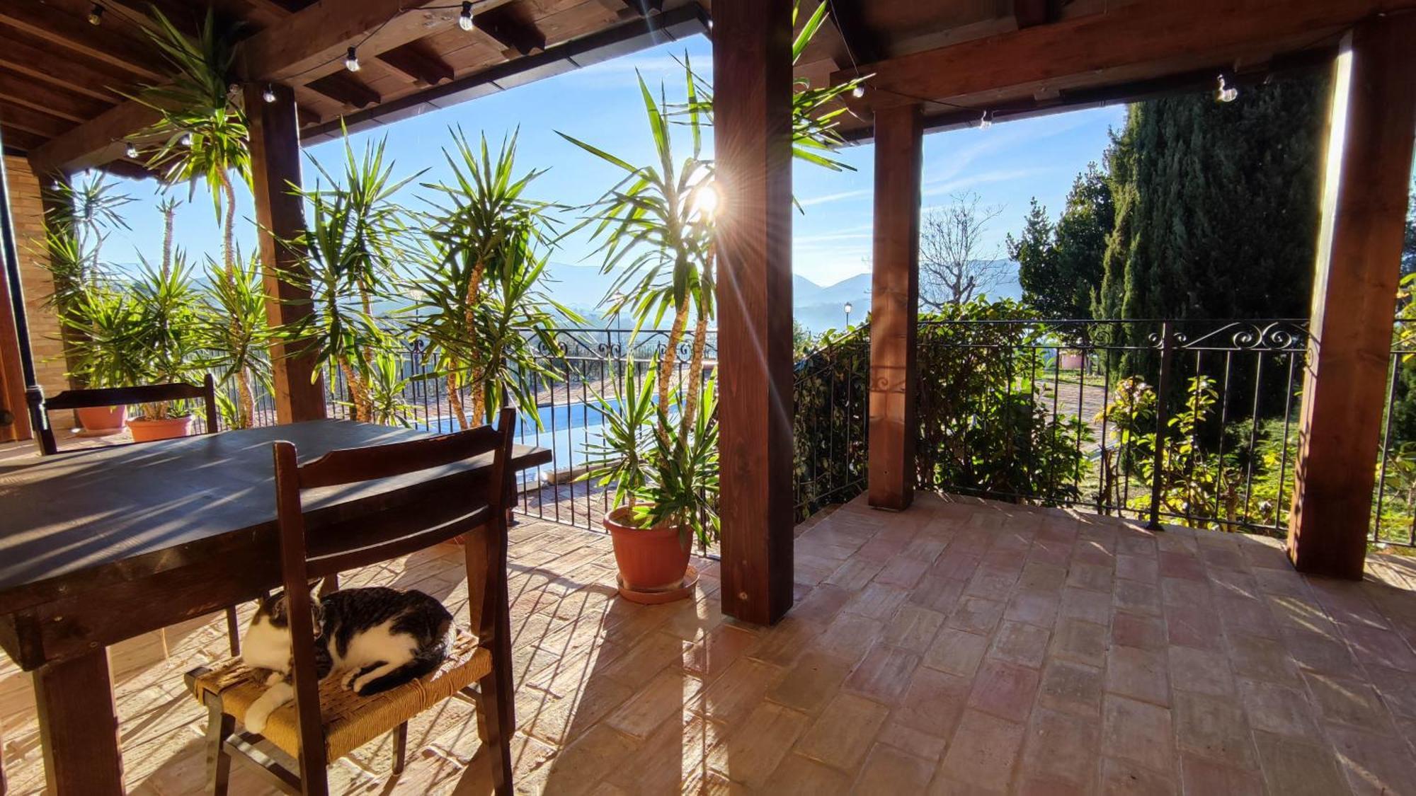 Agriturismo Pascucci Толентино Стая снимка
