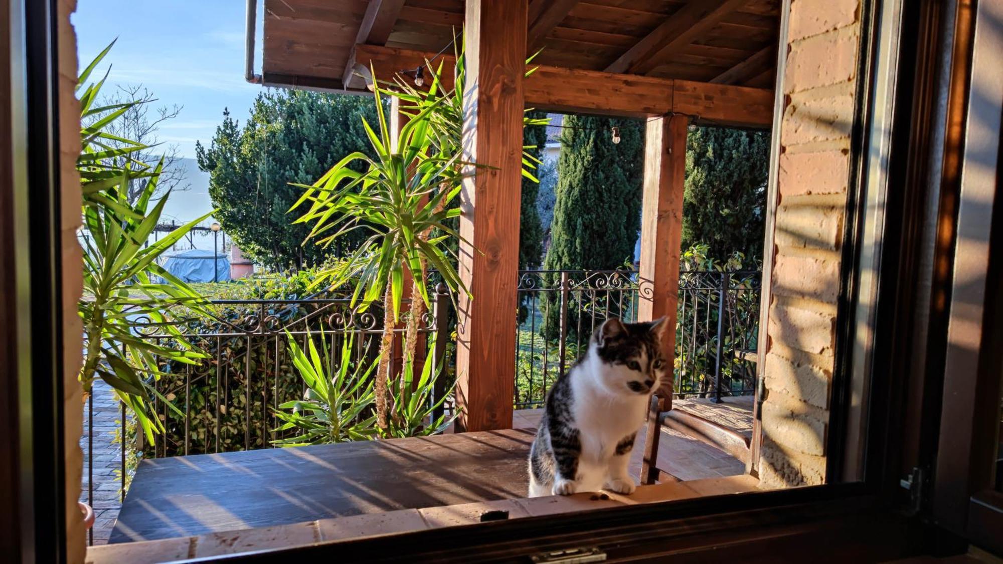 Agriturismo Pascucci Толентино Стая снимка